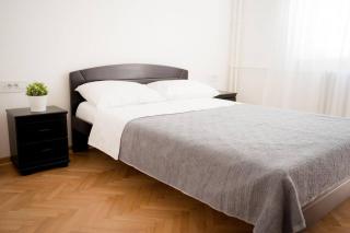 Downtown, spacious, 2 bedroom apartment - Belgrade - 8
