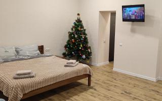 SweetHomeApartment - Kamianets-Podilskyi - 9