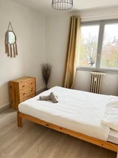 CICONIA : CENTRE-VILLE MULHOUSE, PARC NOUVEAUX BASSINS A PROXIMITE - 4