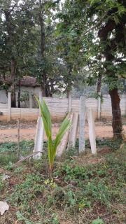 Electronic City Cottage - Bangalore - 5