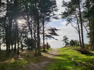 Plage des Dunes - Grand Studio ouvert avec 1 mezzanine et 1 alcôve - Fouesnant - 3