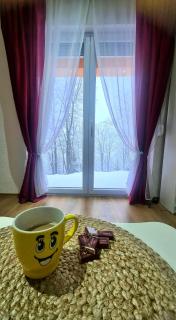 Apartman Emina Pridolci - Busovača - 8