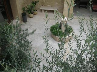 Jim cosy & spa - Saint-Hilaire-dʼOzilhan - 6