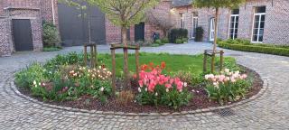Hermelgemhoeve - Zonnebloem - Zwalm - 3