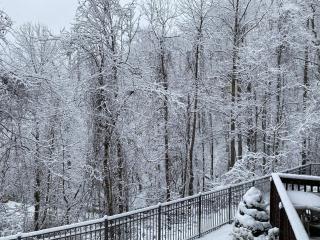 High Alpine 109 - Gatlinburg - 7