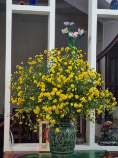 May's Cottage - 9