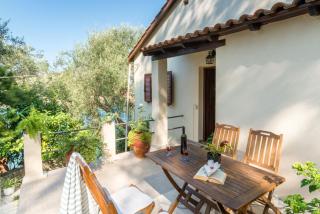 Aglaia Studio - 0