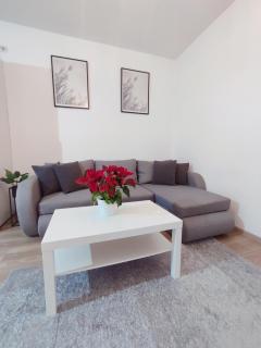 Central Residence - Baia Mare - 5