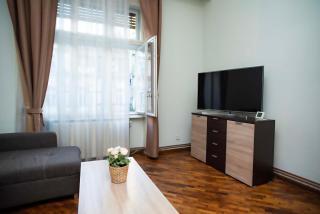 Victoria Palace Apartment - Timişoara - 7