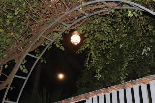 sacred river homestay - 4