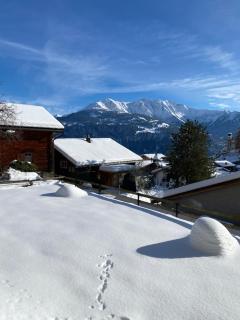 Casa Plaun Martin - Ruschein - 0