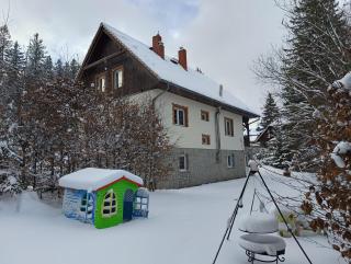 Villa Lupus - apartament z prywatną sauną - Szklarska Poręba - 4