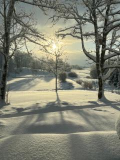 Pie Ezerrozēm - Ķavari - 7