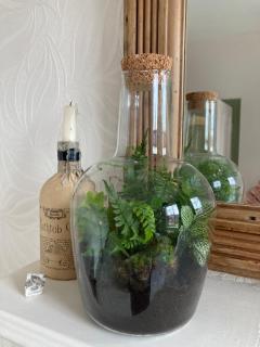 Beautiful sunlit room, 2 mins from beach, private garden - 4