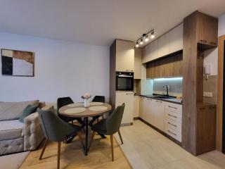 Apartman Restart Zlatibor - Zlatibor - 9