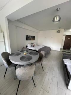 Welcome to Bucharest Airport Residences & Therme-SELF CHECK-IN - Otopeni - 3