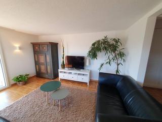 Apartment in Swiss Chalet Träumli - Meierskappel - 3