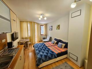 Borovets Villa Park studio - Borovets - 5