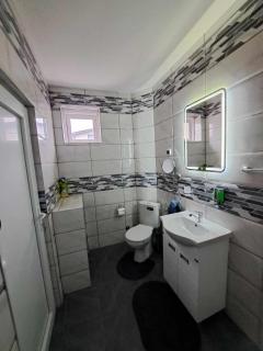 Apartman Arsić Zajecar - Zaječar - 6