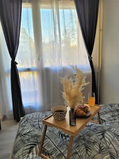 Splendide Appartement Proche Paris & Orly - Chevilly-Larue - 3