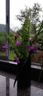 Pontanegra Casas da luh - 2