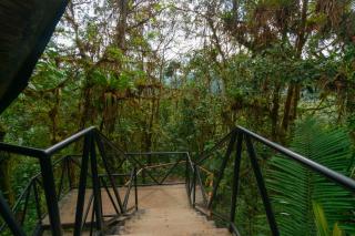 Bellavista Cloud Forest Lodge & Private Protected Area - 6