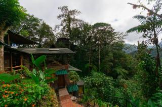 Bellavista Cloud Forest Lodge & Private Protected Area - 2
