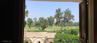 pyramid view inn - Il Cairo - 1