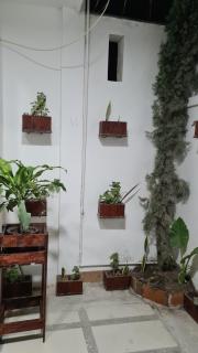 Confortable Suite con terrza - Veracruz - 3