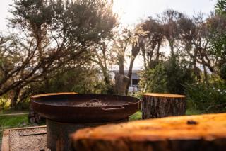 Beachcomber - Coles Bay - 3