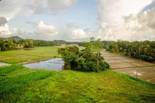 AGP Greeny View Resident - 7