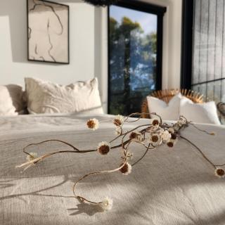 black + shack - Coles Bay - 5