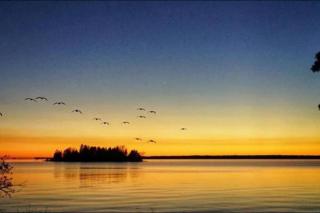 Waterfront Cottage in Lion's Head - 3