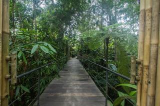 Sacred Beji by Pramana Villas - Payangan - 4