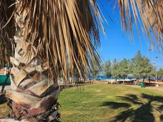 Angel Apt-Amazing SeaView-Netfix-Wifi-Free Parking - Ashdod - 5