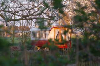 B&B Vennehoeve - Vremde - 9