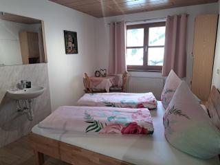 Ferienwohnung Irene - Sankt Gallenkirch - 9