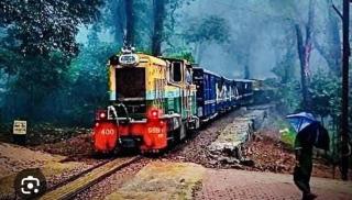 Sai sawali Resorts and Farmstay - Neral - 8