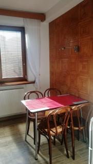 Apartmán Tereza Děčín - Děčín - 1