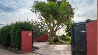 Orange Blossom Finca Unique - 6