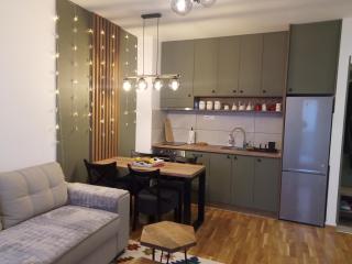 Apartman Zimus sa prelepim pogledom, besplatan Spa & Đakuzi, Parking, WIFI, lift, - Zlatibor - 1