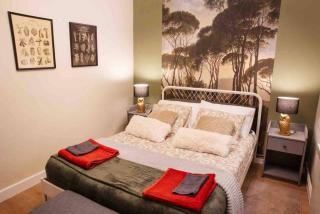 La casa del elefante - 0