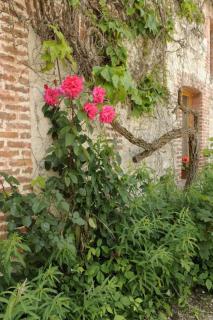 Saint-malachie - Longchamp-sur-Aujon - 3