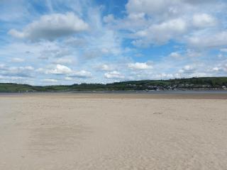 1 bed in Llansteffan 74267 - Ferryside - 9