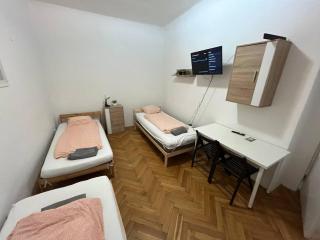 Apartment Vlhka - Brno - 8