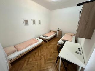 Apartment Vlhka - Brno - 9