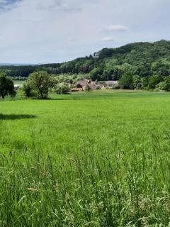FeWo Zieger - Urlaub in Franken - Buttenheim - 5