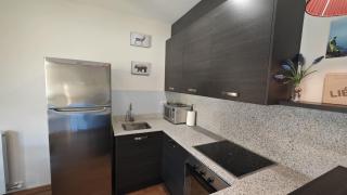Villa R´Arco - tucasaenlospirineos - Escarrilla - 5