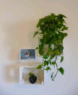 EcoBoutique house, self check-in - free car parking - 5