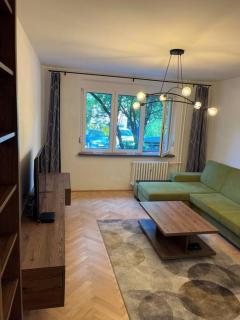 New spacious one-room apartment - 5